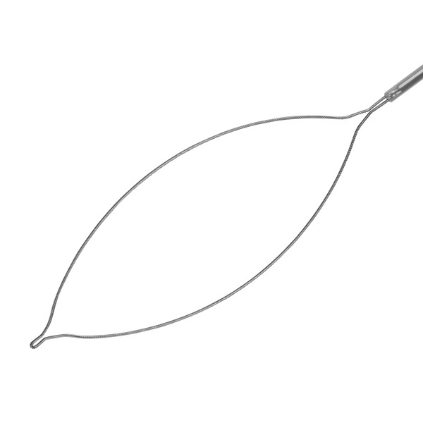 [DK]Polypektomislynge til EickView 70 1